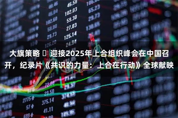 大旗策略 ​迎接2025年上合组织峰会在中国召开，纪录片《共识的力量：上合在行动》全球献映