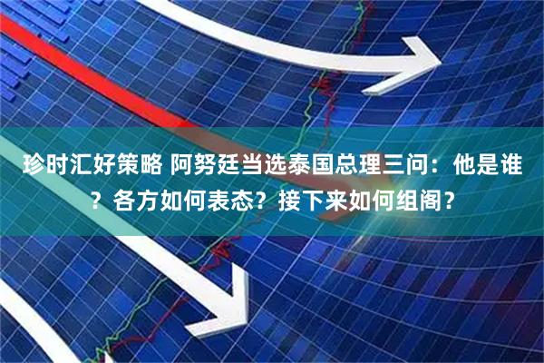 珍时汇好策略 阿努廷当选泰国总理三问：他是谁？各方如何表态？接下来如何组阁？