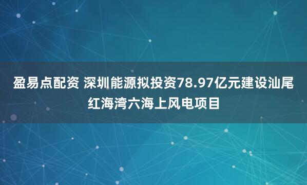 盈易点配资 深圳能源拟投资78.97亿元建设汕尾红海湾六海上风电项目
